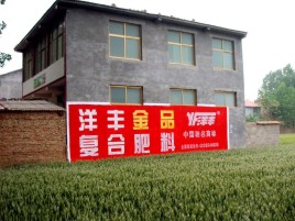 紫阳县如何让墙体广告展现最大化效果