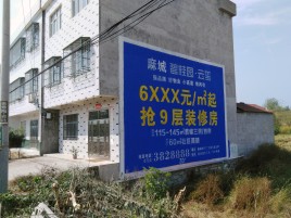 紫阳县墙体广告质量分析