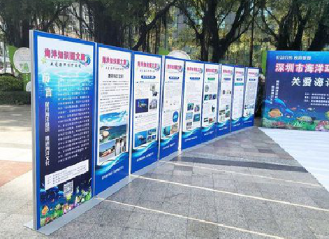 紫阳县KT板的种类和知识。